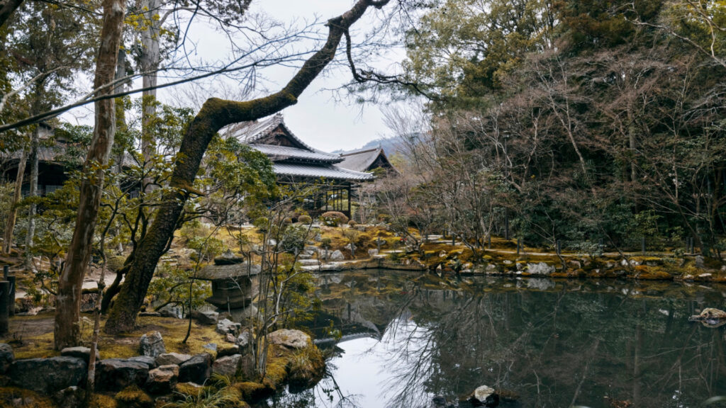 Séjour au Japon : une immersion japonaise au cœur des sources chaudes