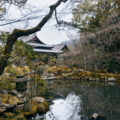 Séjour au Japon : une immersion japonaise au cœur des sources chaudes